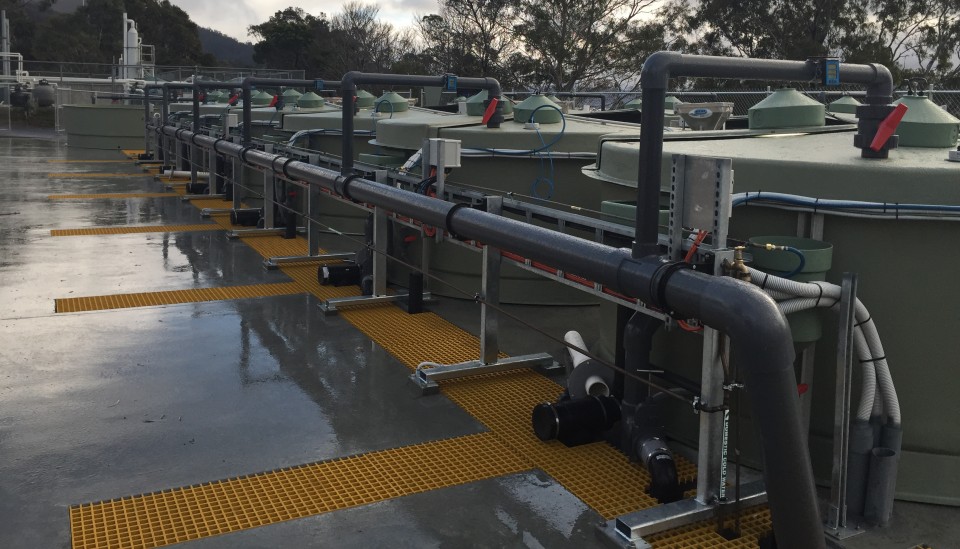 Aquaculture Australia | Aquaculture Tanks | Fresh By Design