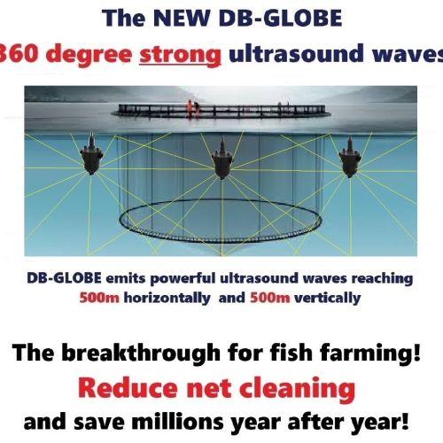 Algae Free Ultrasound