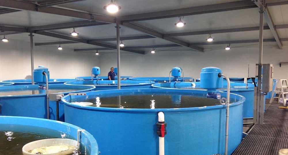Huon Aquaculture – Broodstock Conditioning RAS, Aquaculture Projects, Fresh by Design