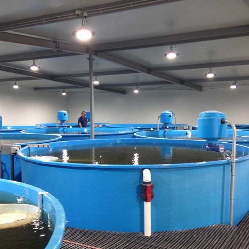 Huon Aquaculture – Broodstock Conditioning RAS, Aquaculture Projects, Fresh by Design