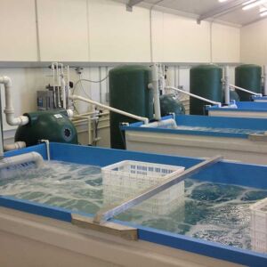 Cray8 Fisheries Lobster Holding Facility, Aquaculture Projects, Fresh by Design