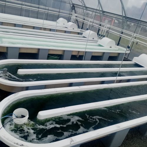 HRAP Raceway Aquaculture Tanks