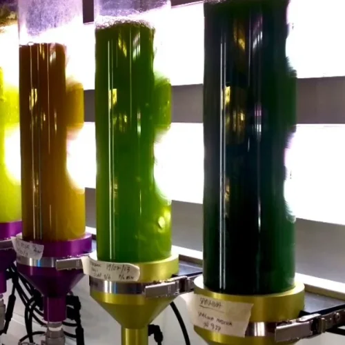 Varicon Aqua algal Phyco-Bubble and Phyco-Conical