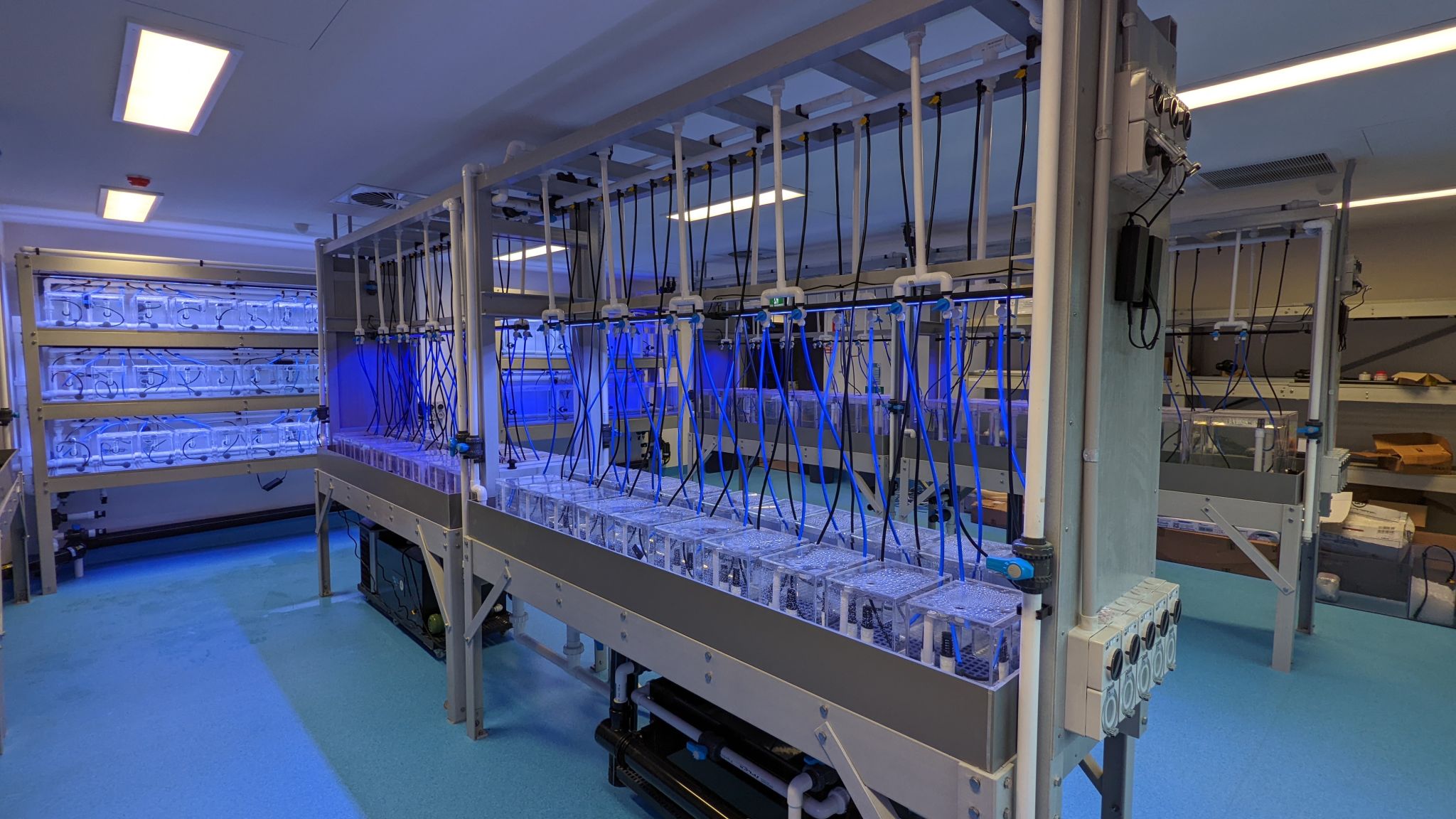 Deakin University Queenscliff Marine Sciences Centre Upgrade Fresh by