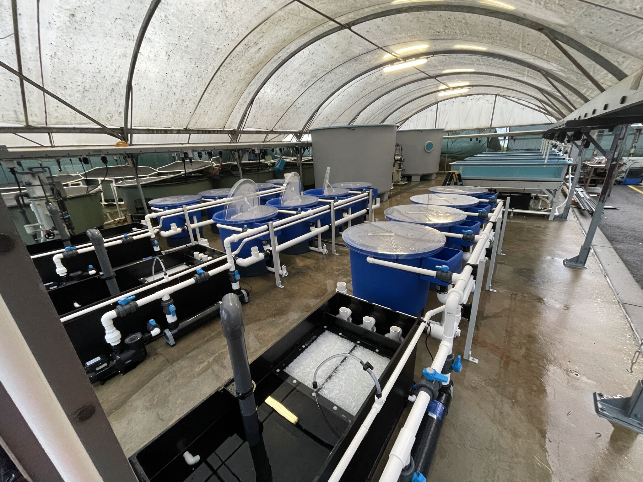 Deakin University Queenscliff Marine Sciences Centre Upgrade Fresh by