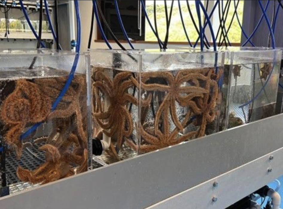 Deakin University Queenscliff Marine Sciences Centre Upgrade Fresh by