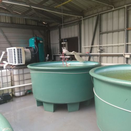 Second Hand – Aquaculture Equipment, Sunshine Coast/Bundaberg