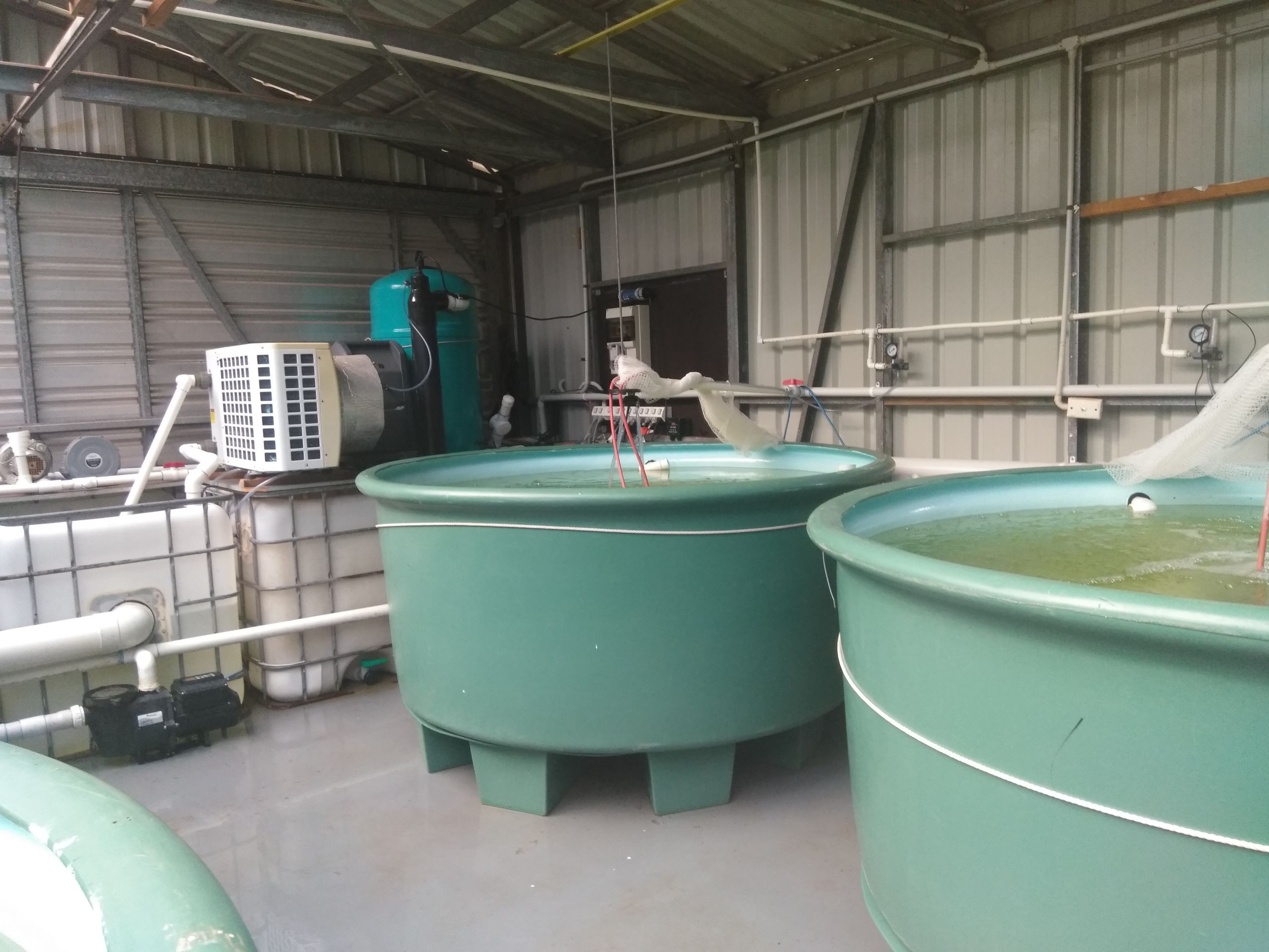 Second Hand Aquaculture Equipment, Sunshine Coast/Bundaberg Fresh