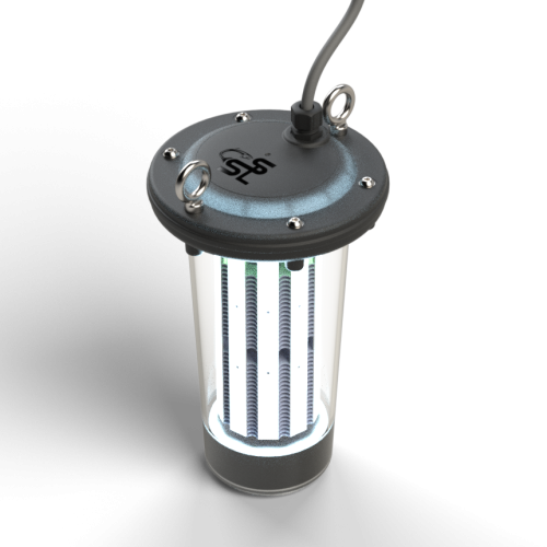 Southern Salmon Lights