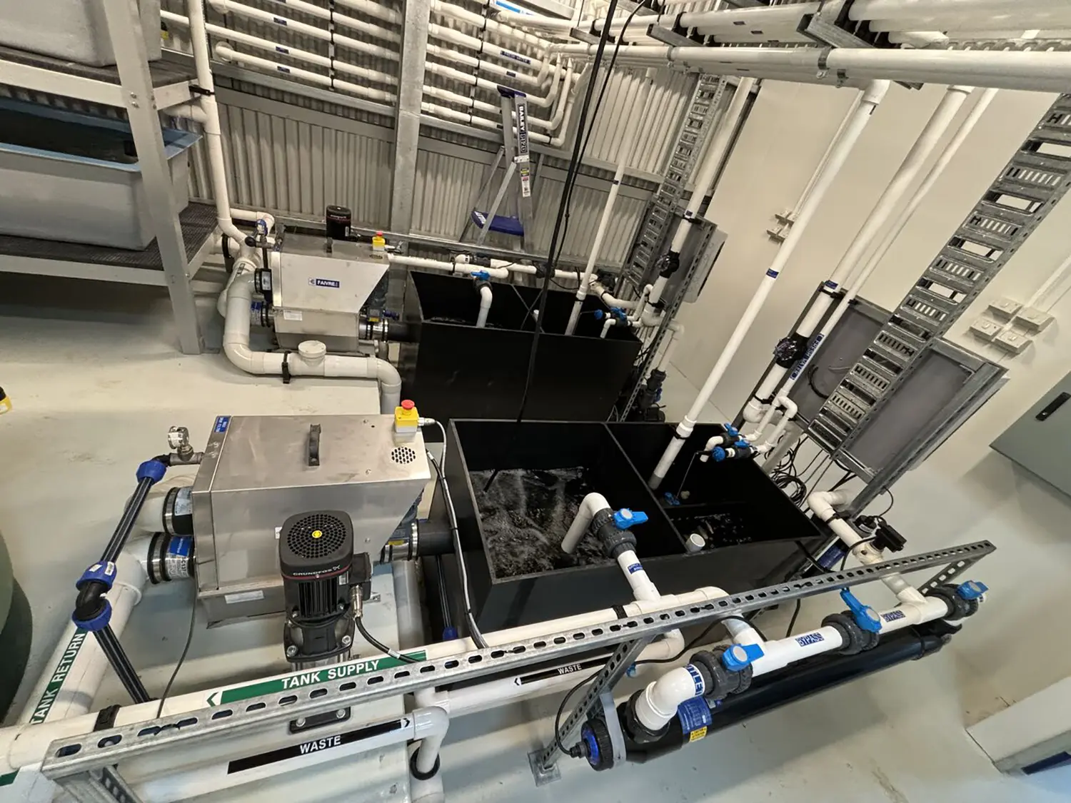 Macquarie Perch Archives - Fresh By Design