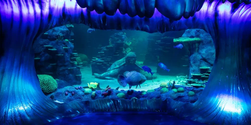 Sydney Aquarium OC4 Oceanarium life support system upgrade