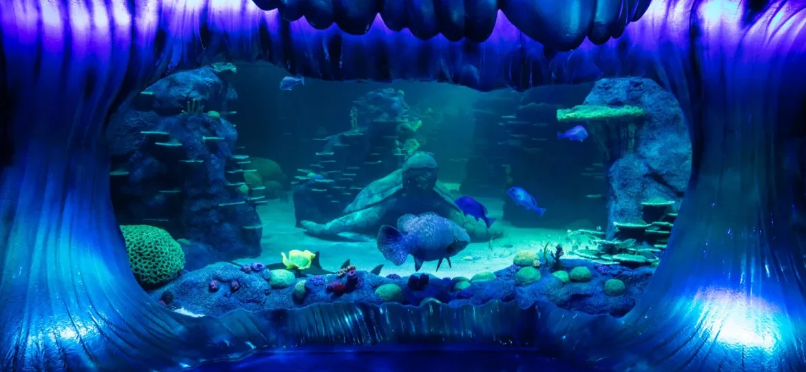 Sydney Aquarium OC4 Oceanarium life support system upgrade