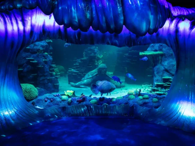 Sydney Aquarium OC4 Oceanarium life support system upgrade