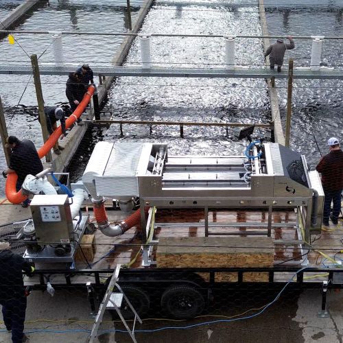 Aqua Life BioTrac Belt Grader