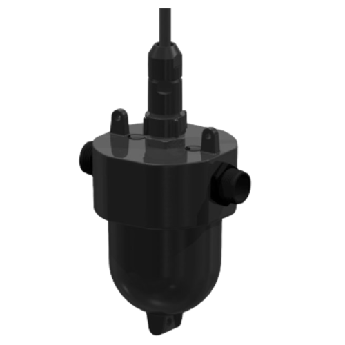 Algaefree Ultrasound