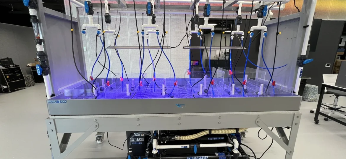 Chisholm Institute Frankston Tech School educational seaweed bench and reservoir system