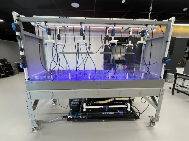 Chisholm Institute Frankston Tech School educational seaweed bench and reservoir system