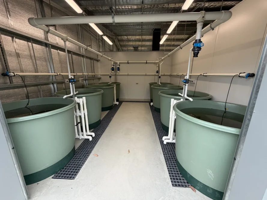 Macquarie Perch Recovery Centre, Snobs Creek VIC