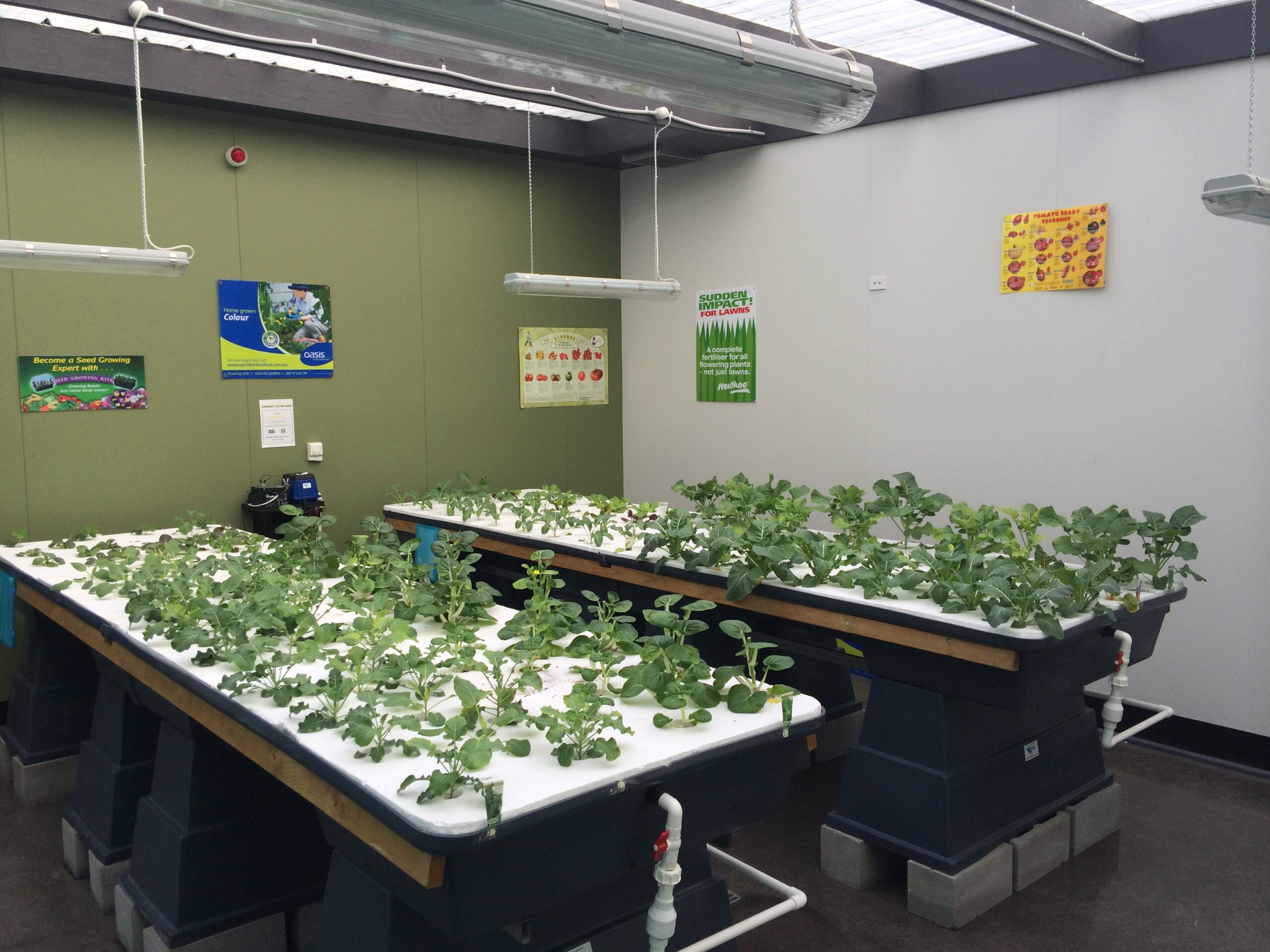 Aquaponics Systems