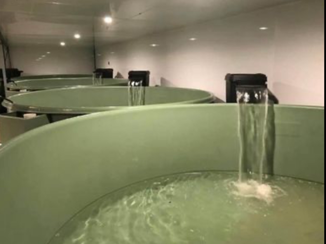 Second Hand – Aquaculture Equipment, Mildura – VIC