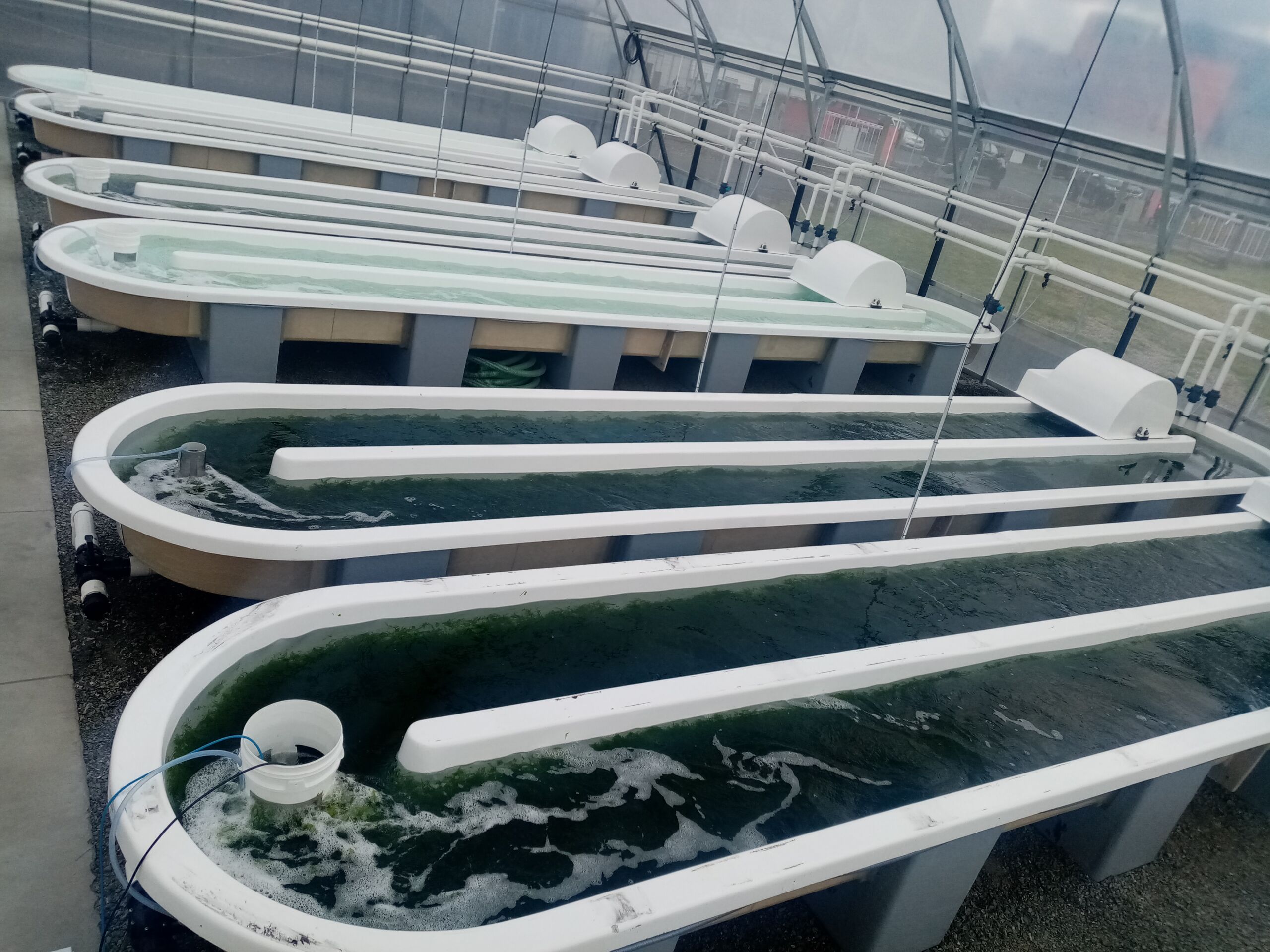 HRAP Raceway Aquaculture Tanks