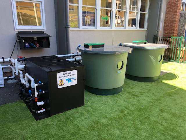 RAS1000 - Recirculating Aquaculture Systems 1000L