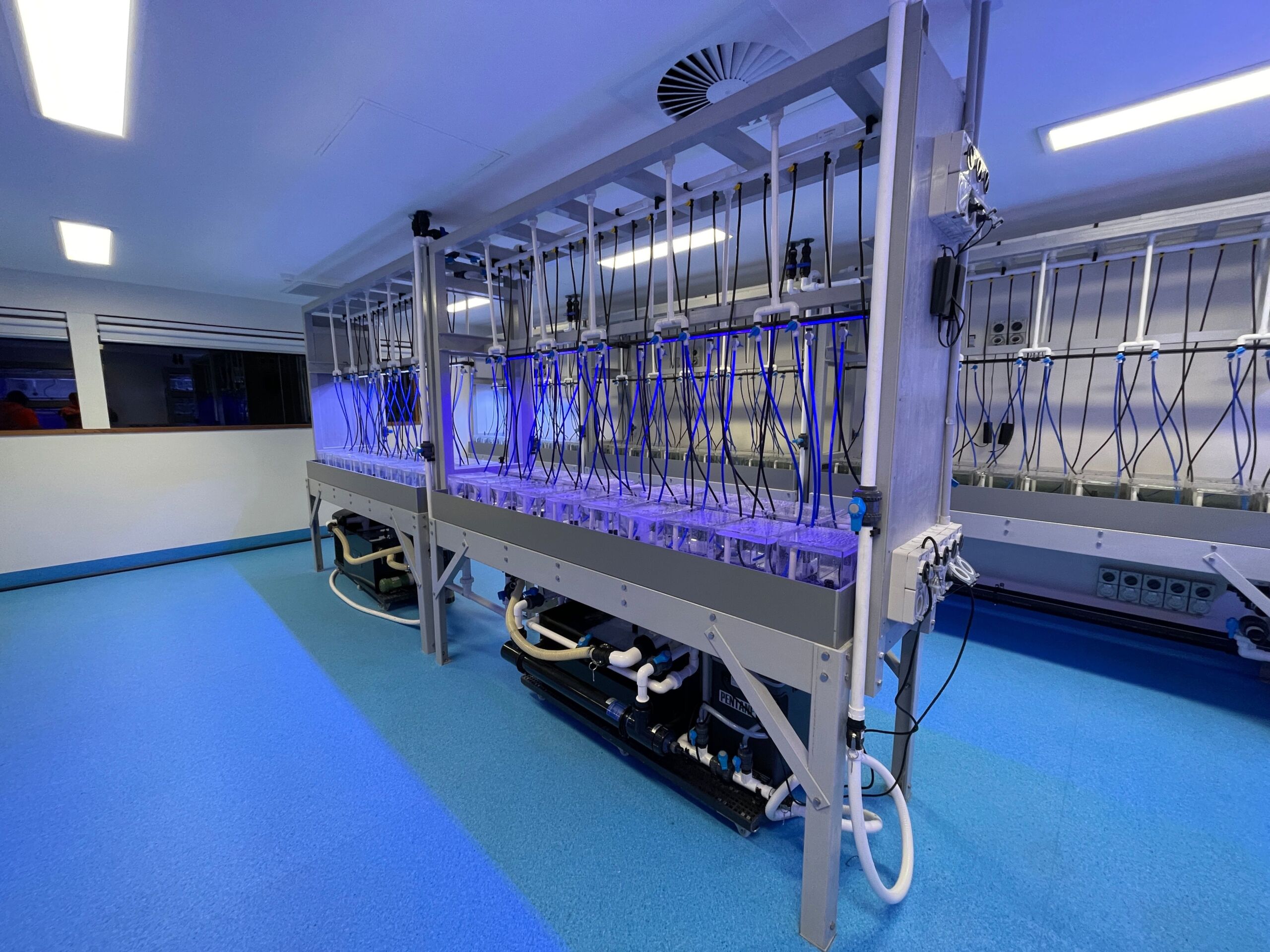 Rack Systems
