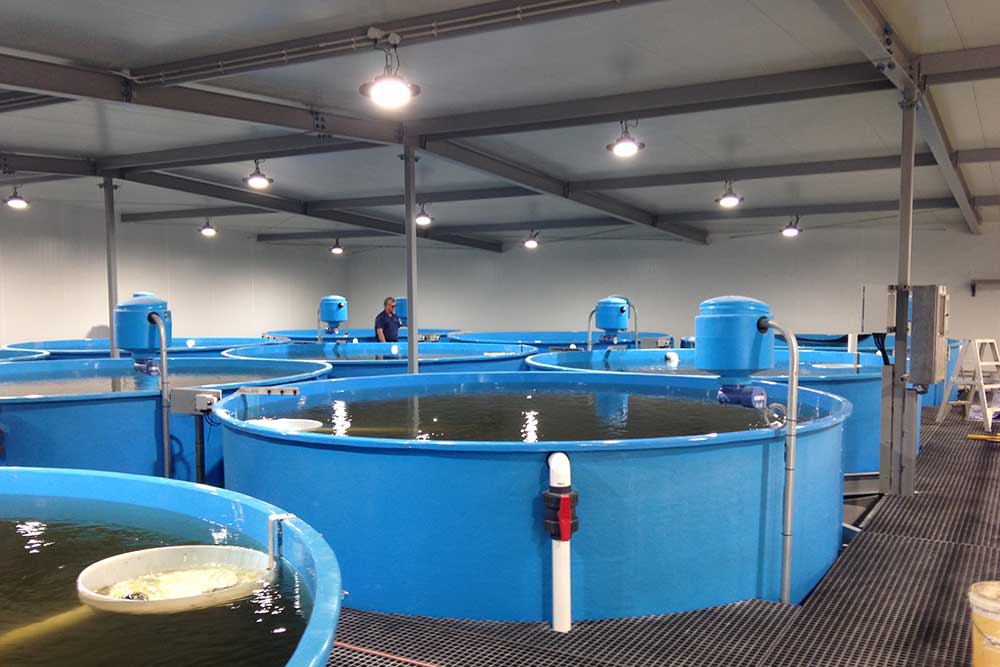 RAS - Recirculating Aquaculture Systems