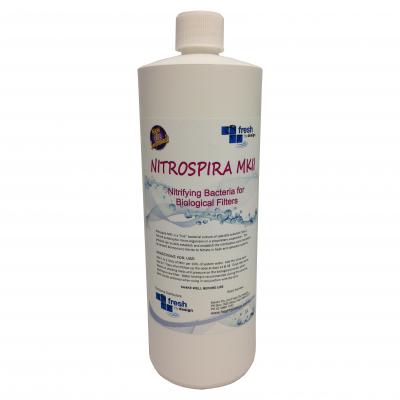 Nitrospira MKII Bacteria