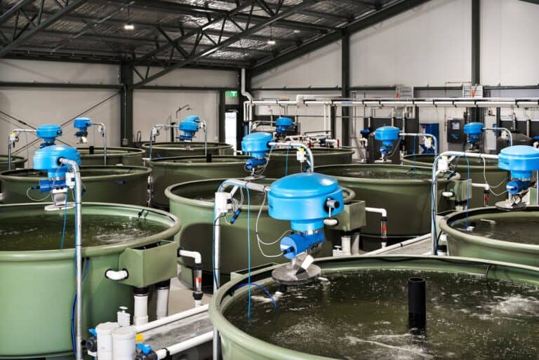 Recirculating aquaculture system tanks with automatic fish feeders at the Gaden Trout Hatchery, NSW
