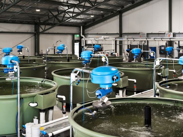 Recirculating aquaculture system tanks with automatic fish feeders at the Gaden Trout Hatchery, NSW